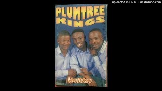 Plumtree kings [upl. by Borgeson795]