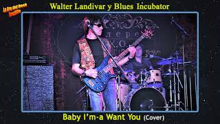 Walter Landivar y The Blues Incubator  Baby Im a Want You Cover  2009 [upl. by Yannodrahc]