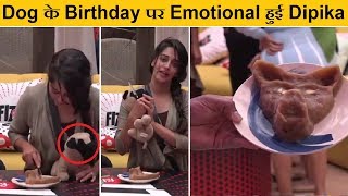 Cuddle के Birthday पर Emitional हुई Dipika घरवालों के साथ मनाया जश्न  Cuddle Birthday  FCN [upl. by Barnard]