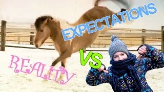 Expectations VS Reality  Winter op stal  felinehoi [upl. by Treblih]