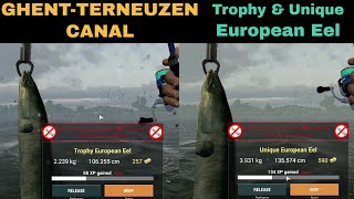 Fishing Planet GhentTerneuzen Canal Netherlands European Eel Trophy amp Unique [upl. by Deeyn]