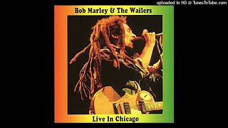 Bob Marley  Band Intro  Live at the Quiet Knight Club Chicago [upl. by Willing]