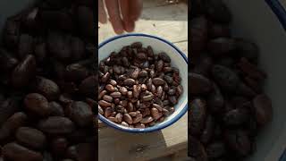 Fried loach with chocolate fried chocolate organicfood food recipe cookingshorts [upl. by Albertson]