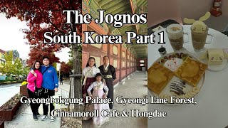 South Korea Part 1 Gyeongbokgung Palace  Gyeongi Line Forest  Cinnamoroll Cafe amp Hongdae [upl. by Leffert]