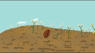 Silurian Land Ecosystems [upl. by Cutty932]