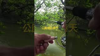 南港公園 釣魚 fishing lurefishing [upl. by Kilmarx525]