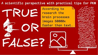 Debunking Visual Myths What science says and how to leverage it for better PKM [upl. by Ethben925]