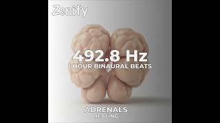 4928 Hz Binaural Beats  Adrenals Healing [upl. by Risley124]