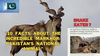 quot10 Facts About The Incredible Markhor Pakistans National Animalquot [upl. by Friedman884]