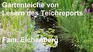 Gartenteich der Familie Eichenberg aus der Serie Gartenteiche von Lesern des Teichreports [upl. by Merissa]