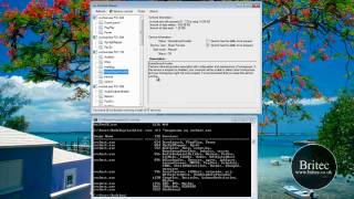 SVCHOST Viewer Shows Services Running Under SVCHOSTEXE by Britec [upl. by Frederiksen]