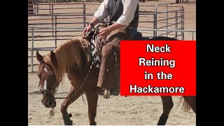 Neck Reining in a Hackamore [upl. by Ardnaeed36]