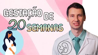 APRENDA GESTAÇÃO 20 SEMANAS COMO ESTÁ O BEBÊ E A MÃE [upl. by Eillac]