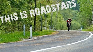 THIS IS ROADSTARS  Roadstars meet Alpensumo  KTM 690 SMC [upl. by Enelrad]