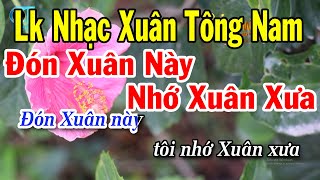 Karaoke Liên Khúc Nhạc Xuân Tông Nam Mới Nhất 2024  Đón Xuân Này Nhớ Xuân Xưa [upl. by Trueman]