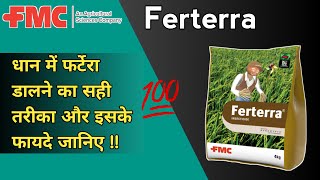 FMC Ferterra Insecticide  धान और गन्ने की फसल में इसका प्रियोग कब और कैसे करे  और जानिए सही तरीक़ा [upl. by Ateuqram]