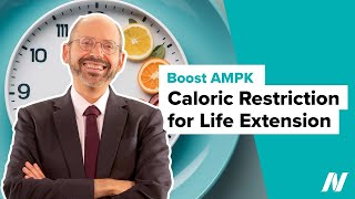 Naturally Boosting AMPK with Caloric Restriction for Life Extension [upl. by Yahsan279]