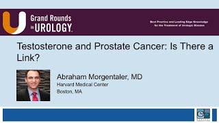 Testosterone and Prostate Cancer Is There a Link [upl. by Annel]