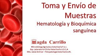 Toma y envío de muestras para hematología en Medicina Veterinaria [upl. by Hguh]