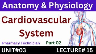 Cardiovascular System  Anatomy And Physiology  Pharmacy technician [upl. by Livvi238]