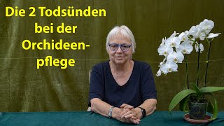 Orchideen Pflege richtig gemacht – Bei der Orchidee ist manchmal weniger mehr [upl. by Kuhlman]