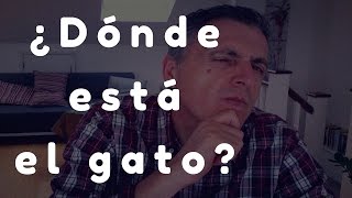 ¿Dónde está el gato [upl. by Ennovyhc]