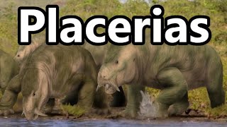 Placerias Giant Triassic Herbivore [upl. by Sivatco882]