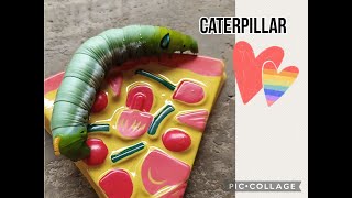 Why do CATERPILLARS have 12 eyes caterpillar yassiyai [upl. by Allecsirp]