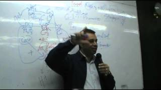 DrAhmed Abd ElRahman  GIT 2  Peptic Ulcer part 2 [upl. by Naihr]