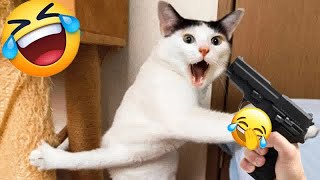 Funny Dogs And Cats Videos 2024 😅  Best Funniest Animal Videos Of The week [upl. by Ahsurej42]