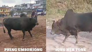 PRING UMSOHIONG 🆚 IONG HEH TONE161124 HA LAITMAWROH [upl. by Irme685]