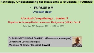 Pursue 9M Cervical Cytopathology Negative for Intraepithelial Lesions or Malignancy NILM Part 2 [upl. by Anetsirk286]