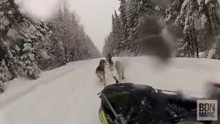 A sled’seye view of the CanAm 250 [upl. by Hogen603]