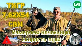 762х54 патроны НПЗ тестируем на скорость с Филом Test cartridges LVE 762х54R on the velocity [upl. by Noble]