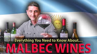 What is MALBEC What You NEED TO KNOW about this Wine [upl. by Eniala]