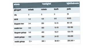 Olika typer av tabeller [upl. by Vere]