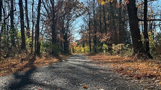 Through The Woods at Peace Valley [upl. by Egwin]