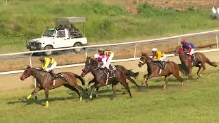 LADY WONDER wins The Desmond Handicap Div2 [upl. by Connell]