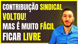 URGENTE Contribuição sindical VAI VOLTAR Como se livrar da contribuição sindical liberada pelo STF [upl. by Orlene]