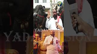 Baahubali Dunna Laddu Yadav in Skanda Movie  స్కంద మూవీ లో బాహుబలి దున్న లడ్డు యాదవ్  sadar [upl. by Zoba]