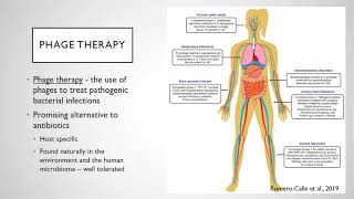 Advances in phage therapy of Mycobacterial infections [upl. by Ariamoy]