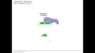 Dehydration Synthesis and Hydrolysis [upl. by Olympia]