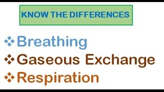 Respiratory System  Breathing Gaseous Exchange and Respiration [upl. by Dal]