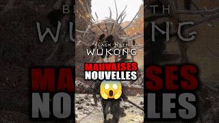 MAUVAISES Nouvelles pour Black Myth Wukong 😰 ATTENTION  ⚠️ [upl. by Demetri]