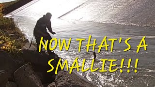 SPILLWAY SMALLIE PB riverfishing spillwayfishing smallies [upl. by Llenhoj886]