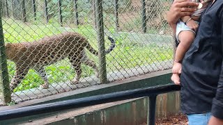 Bondla Zoo 🐯 first vlog 1 [upl. by Brien]