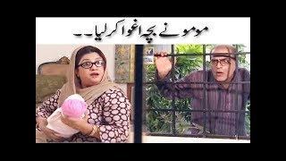 Momo Ne Baccha Aghwa Karliya  Mehmood Sahab  Bulbulay [upl. by Sesom817]