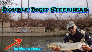 Double Digits Steelhead  match Colors to Conditions [upl. by Atwekk]