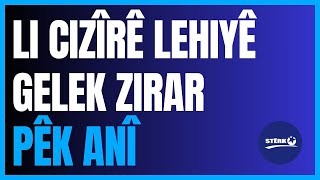 Hevşaredarê Cizîrê Abdurrahîm Dûrmûş behsa zerar û ziyana lehiyê daye Cizîrê dike [upl. by Mrots]