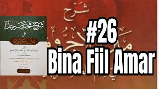 26 Mukhtasar Jiddan  Bina Fiil Amar [upl. by Aicinat]